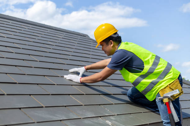 Best Roof Gutter Cleaning  in Albion, PA