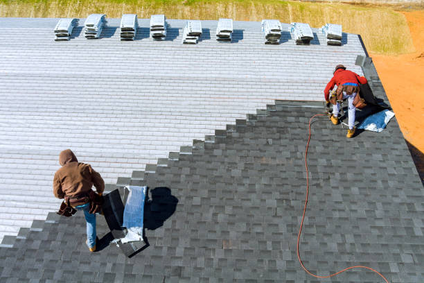 Best Storm Damage Roof Repair  in Albion, PA