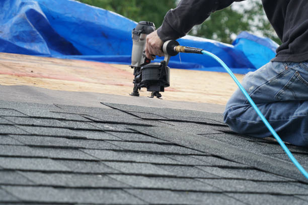 Best Storm Damage Roof Repair  in Albion, PA